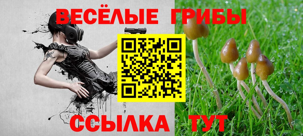 Белорецк  Псилоцибиновые грибы ЛСД  магазин  наркотиков  Вход с VPN 
